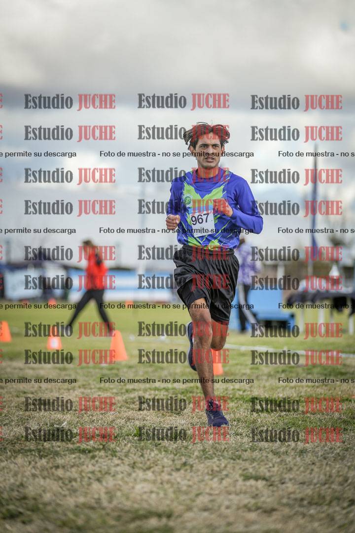 Fotos de las llegadas