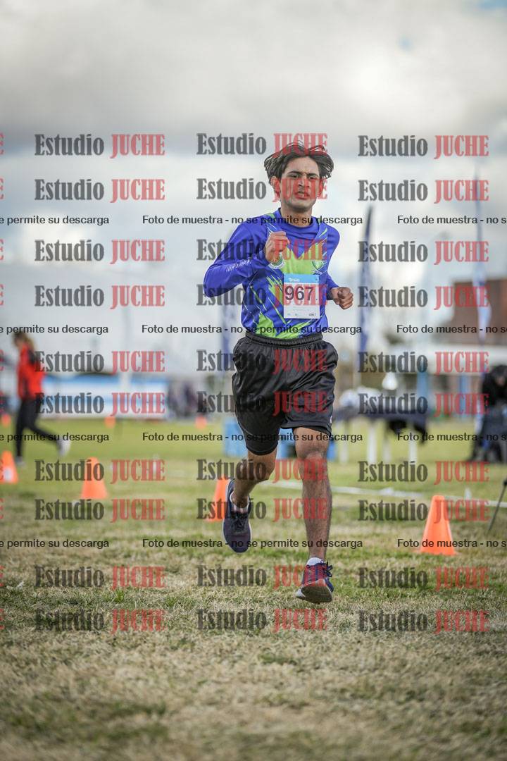 Fotos de las llegadas