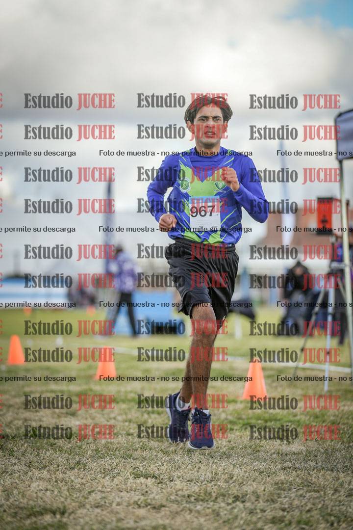Fotos de las llegadas