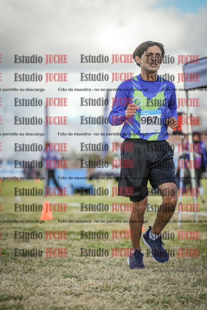 Fotos de las llegadas