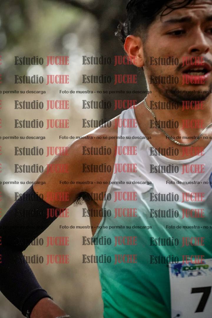 Fotos en el circuito