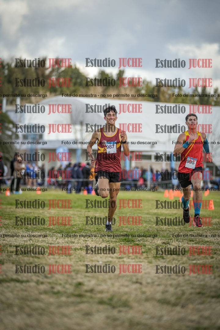 Fotos de las llegadas