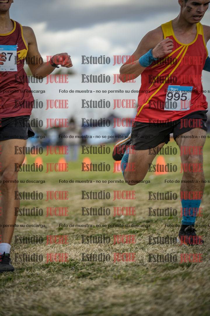 Fotos de las llegadas
