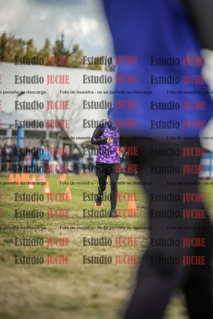 Fotos de las llegadas