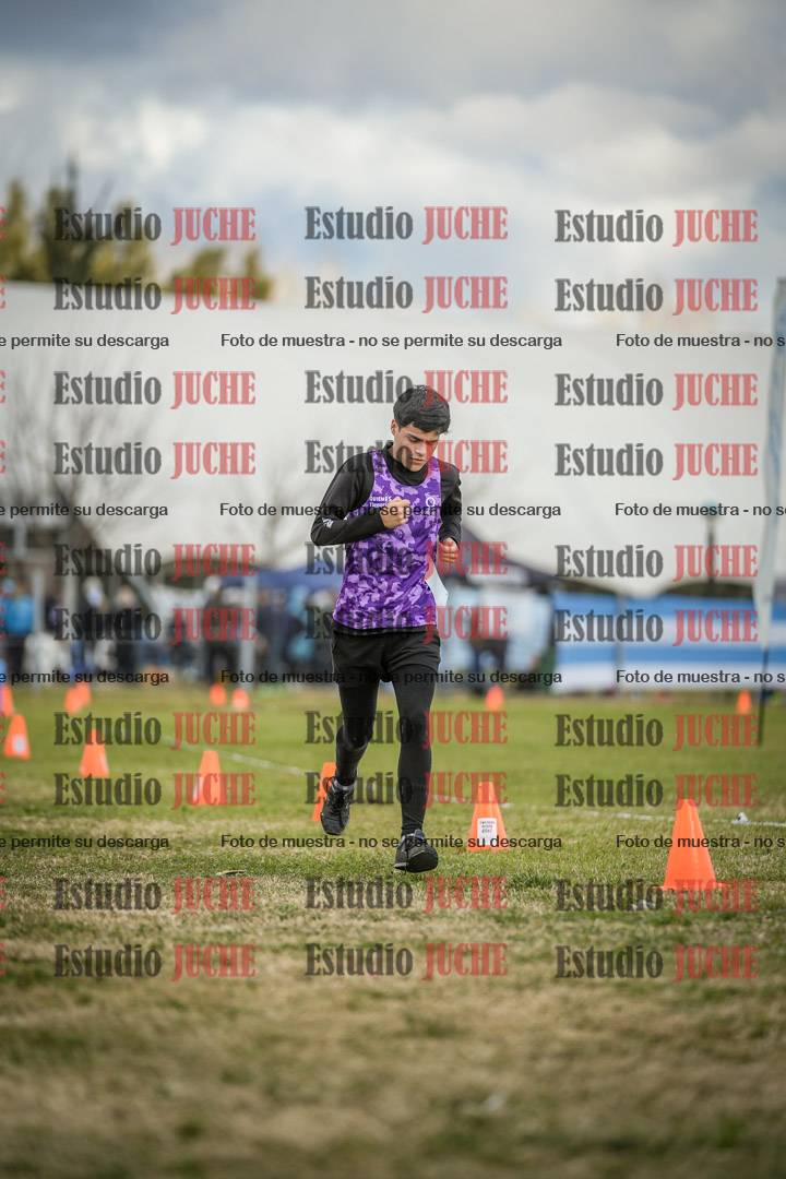 Fotos de las llegadas