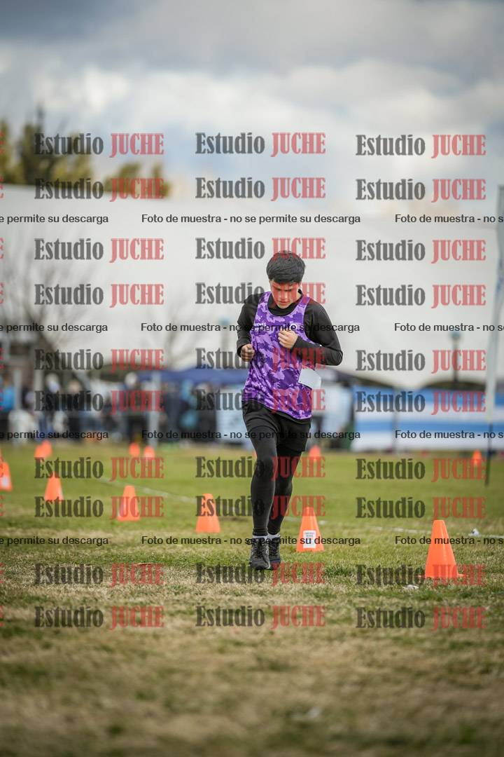 Fotos de las llegadas