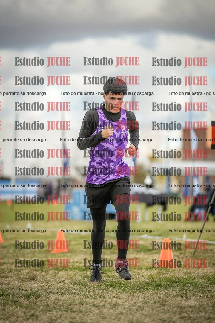 Fotos de las llegadas