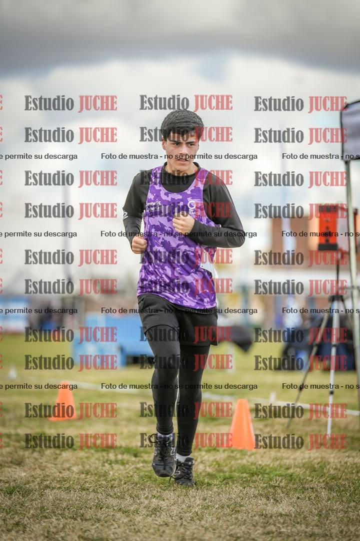 Fotos de las llegadas