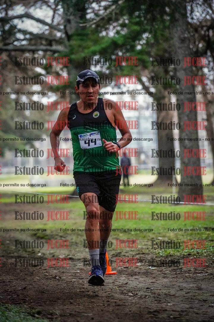 Fotos en el circuito