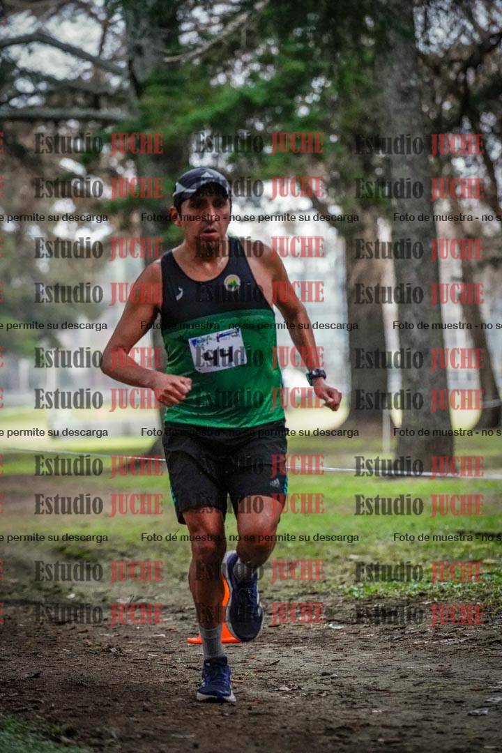 Fotos en el circuito