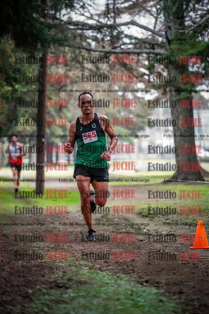 Fotos en el circuito