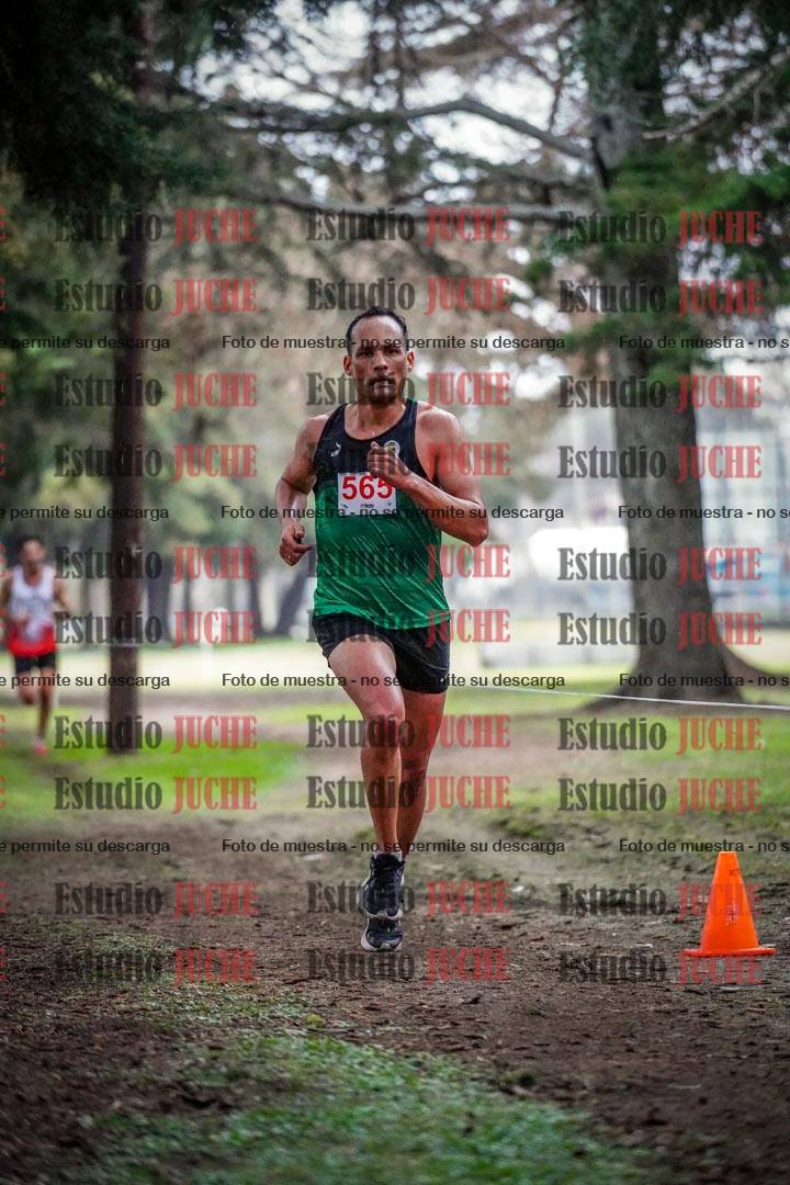 Fotos en el circuito