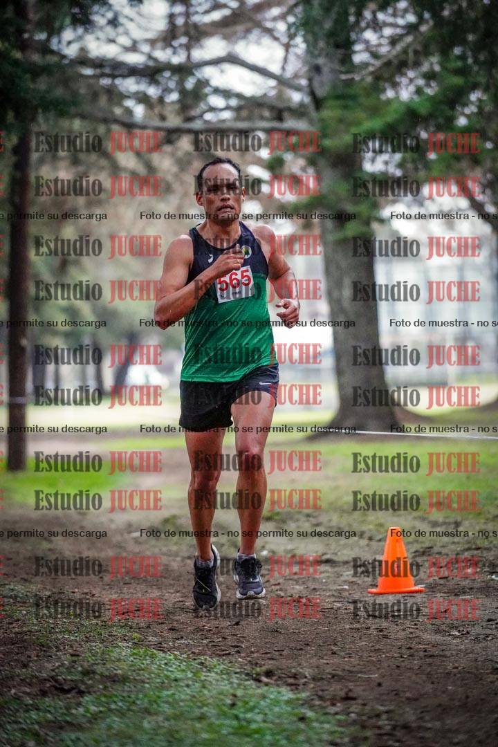 Fotos en el circuito