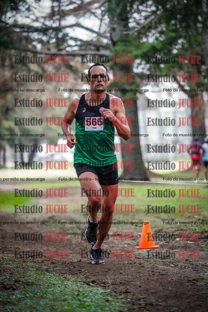 Fotos en el circuito