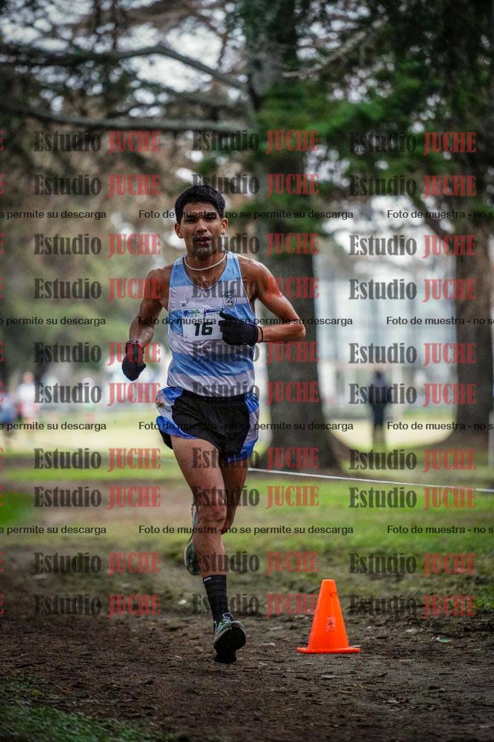 Fotos en el circuito