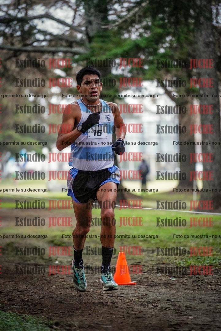 Fotos en el circuito