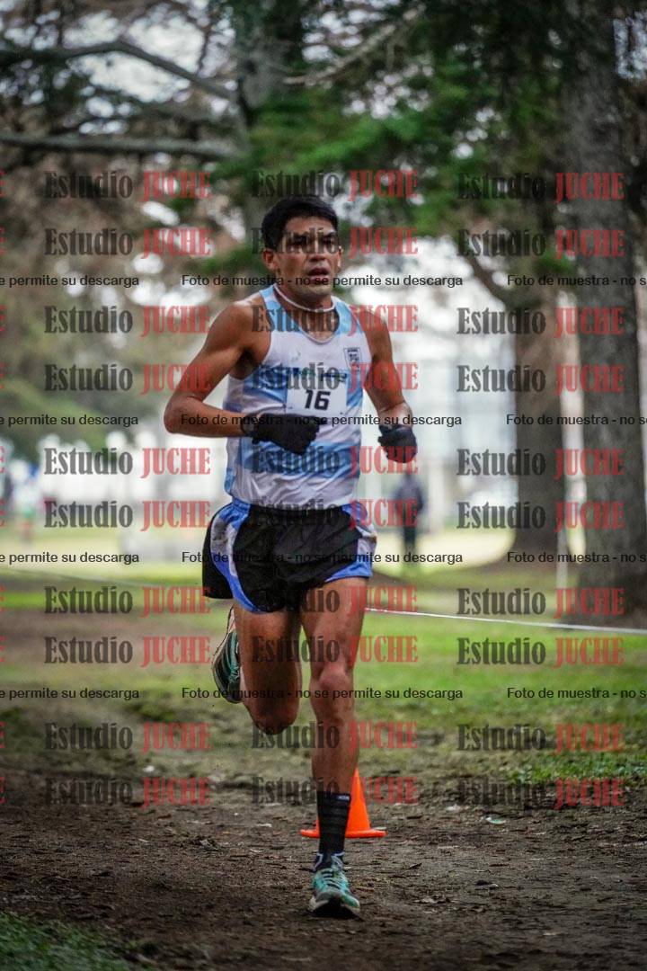 Fotos en el circuito