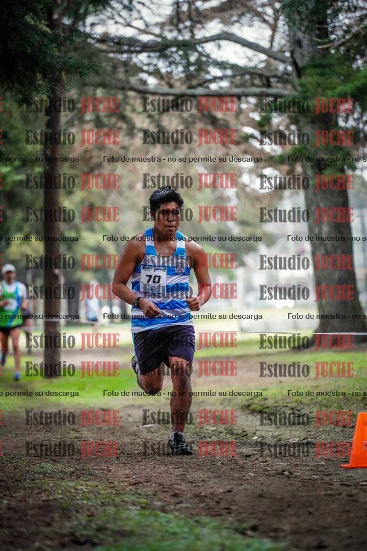 Fotos en el circuito