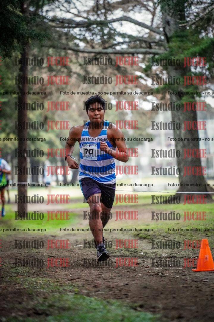 Fotos en el circuito
