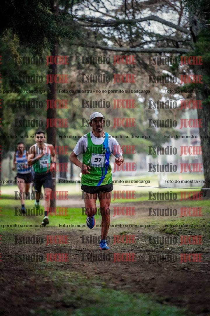 Fotos en el circuito