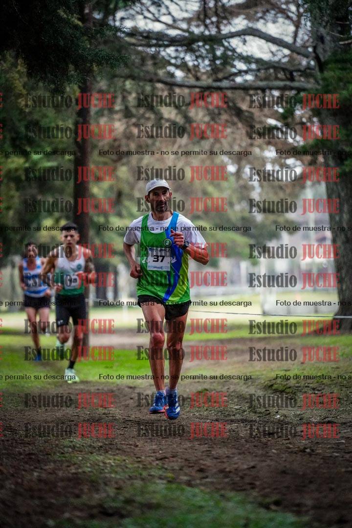 Fotos en el circuito