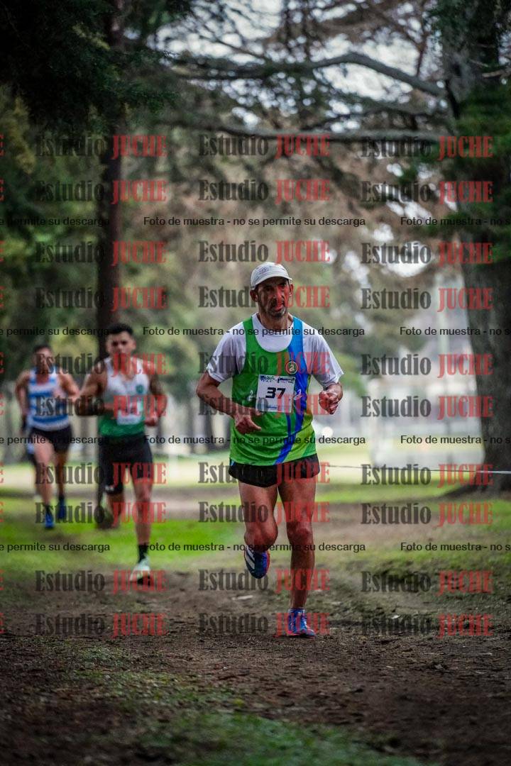 Fotos en el circuito