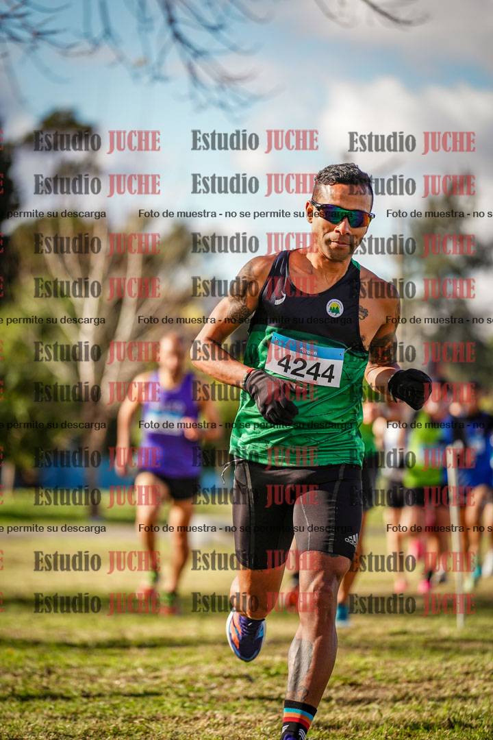 Fotos en el circuito