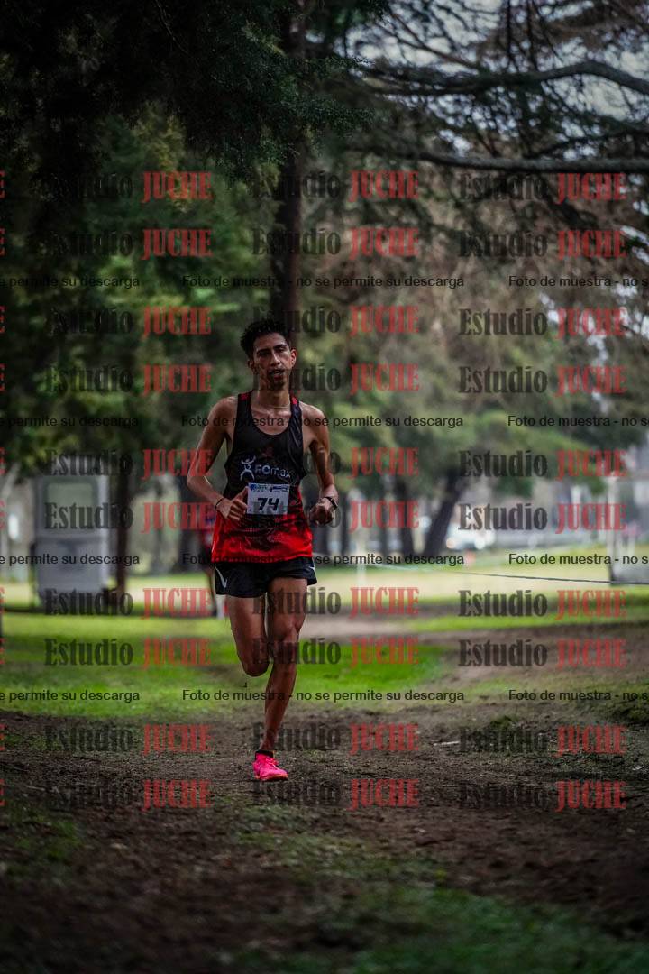 Fotos en el circuito