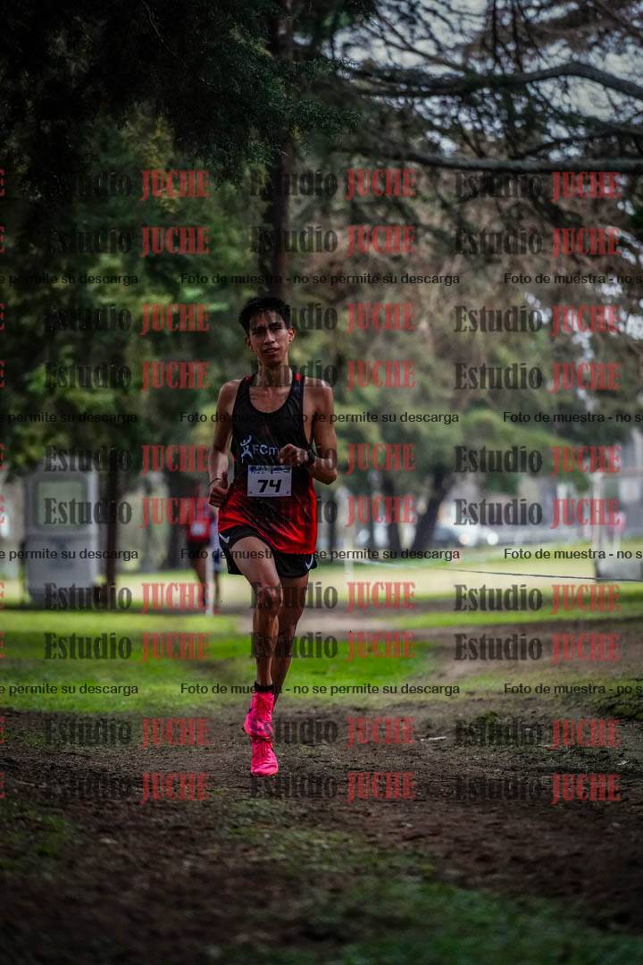 Fotos en el circuito