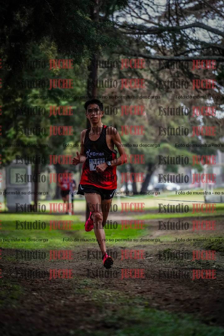Fotos en el circuito