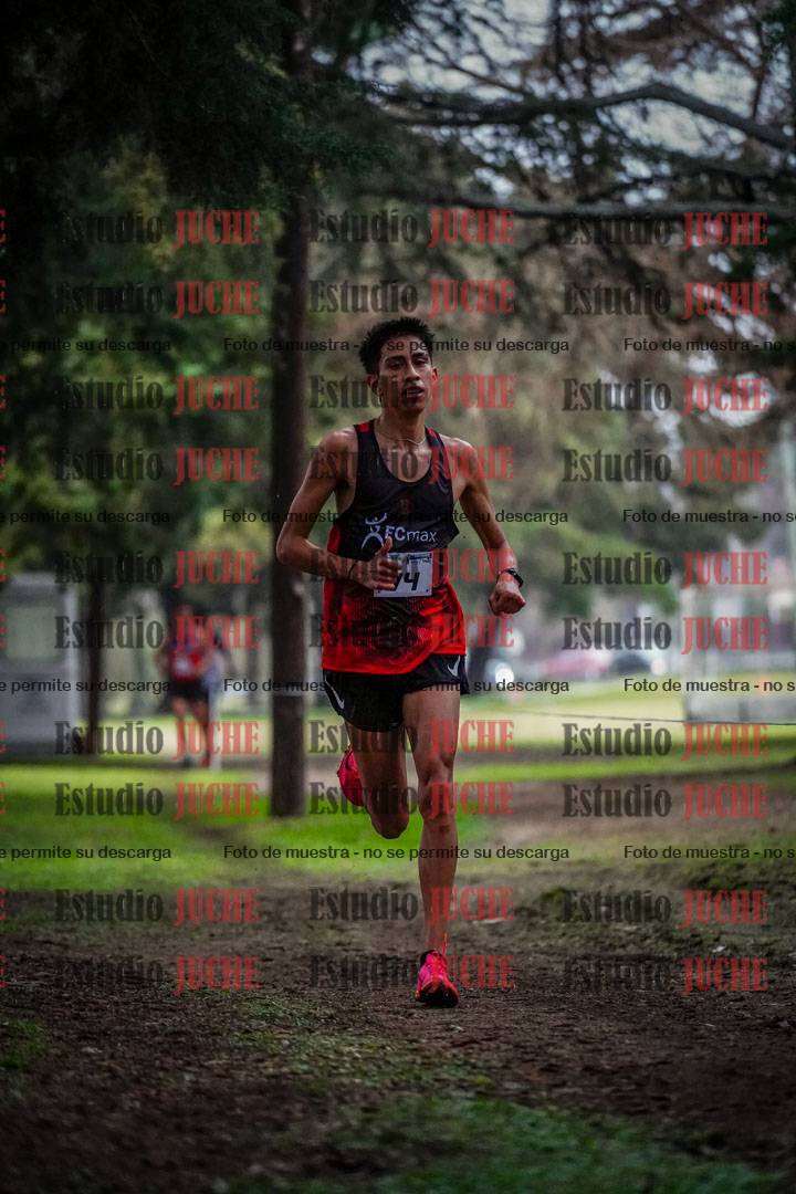 Fotos en el circuito