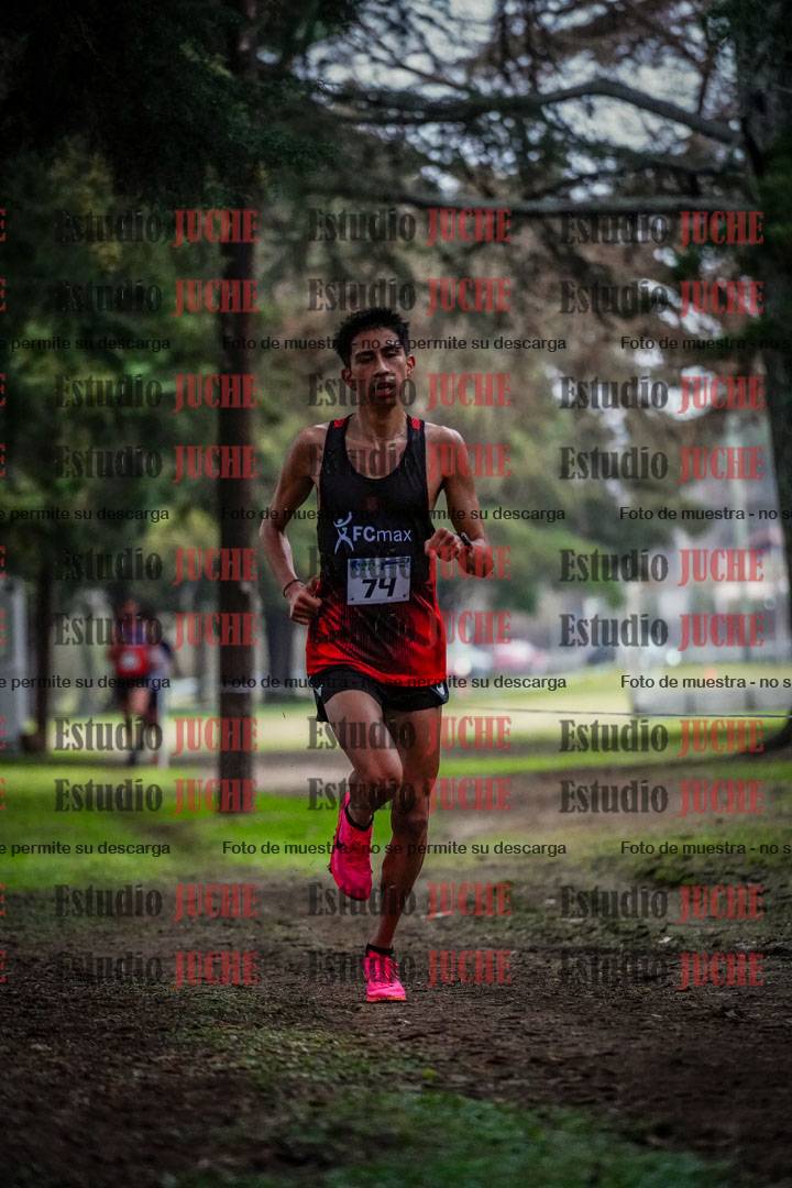 Fotos en el circuito