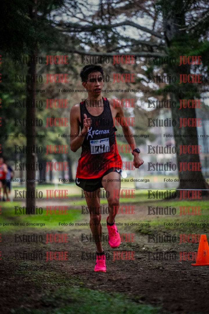 Fotos en el circuito