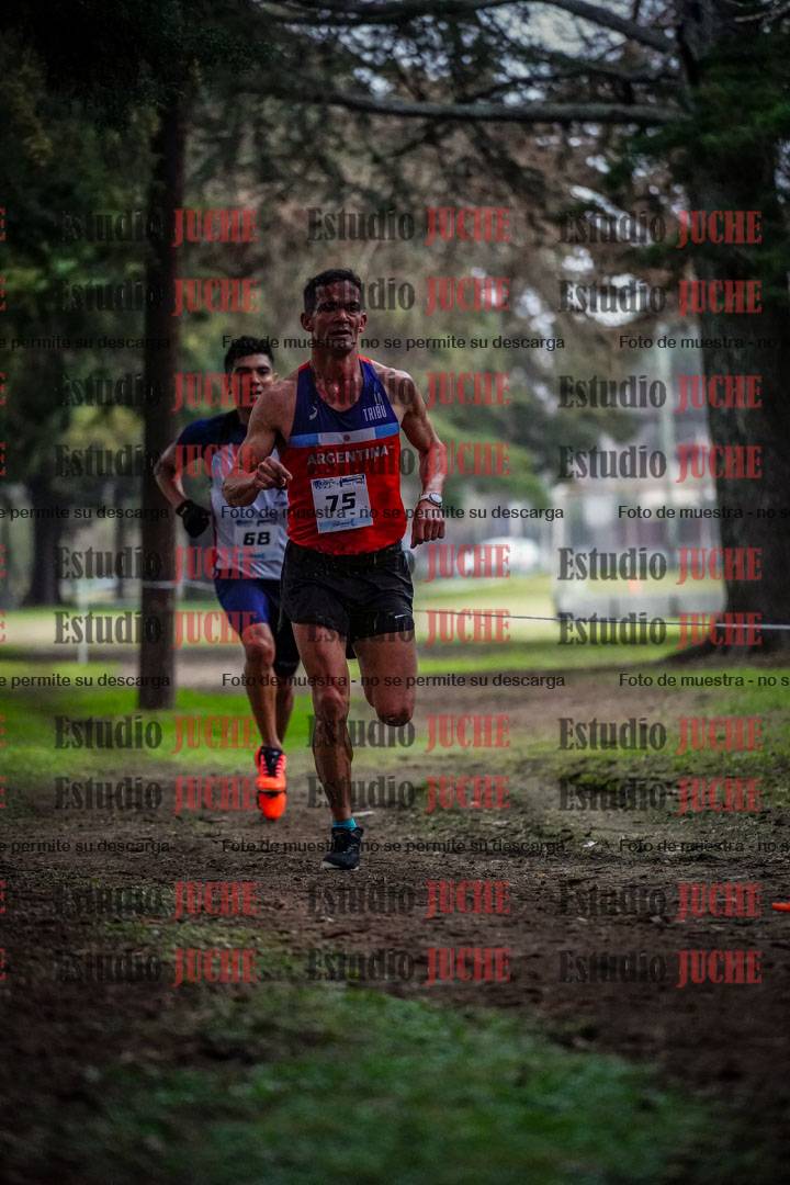 Fotos en el circuito