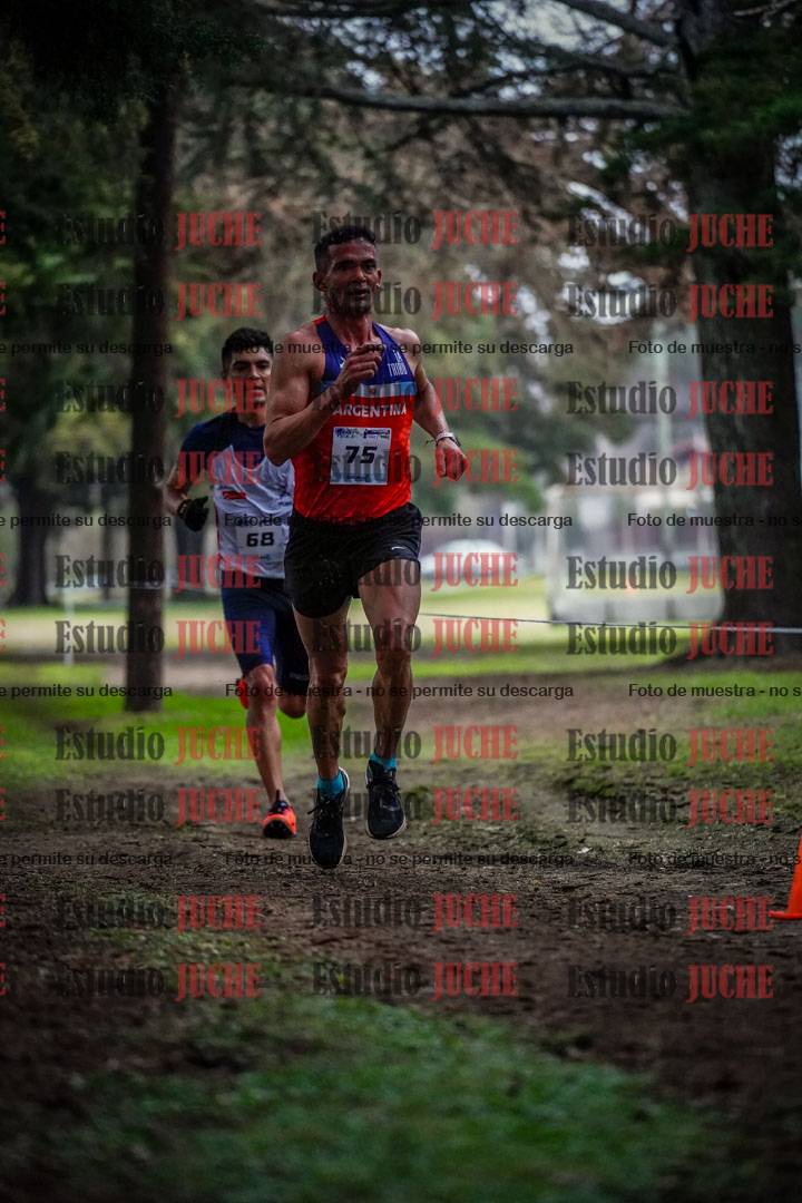 Fotos en el circuito