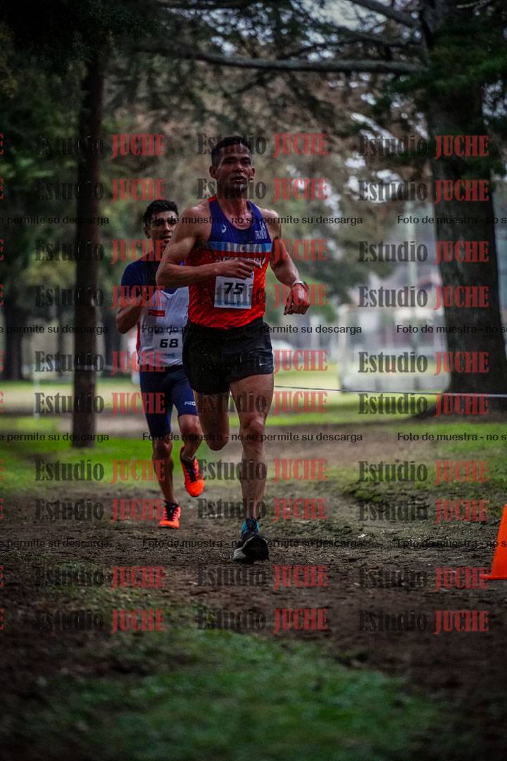 Fotos en el circuito