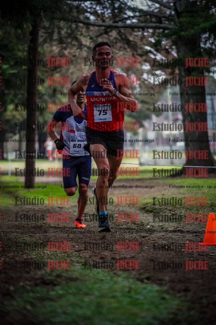 Fotos en el circuito