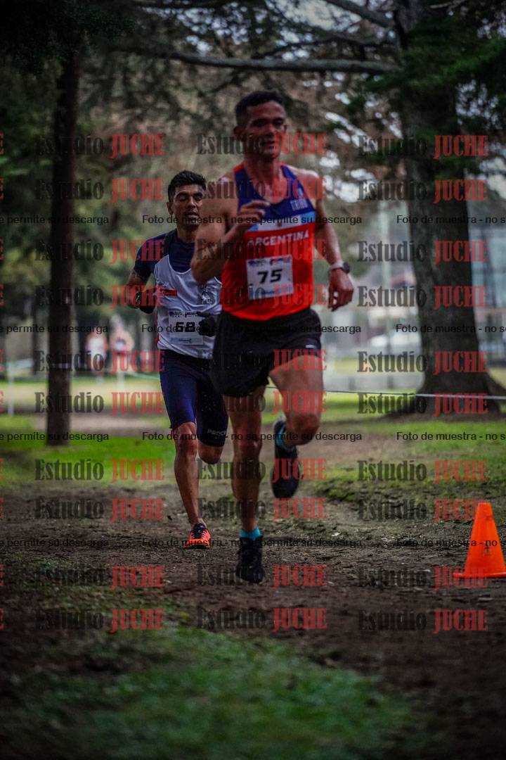 Fotos en el circuito