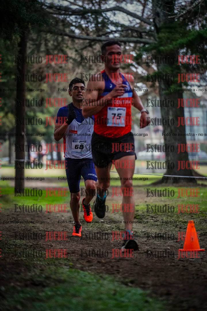 Fotos en el circuito