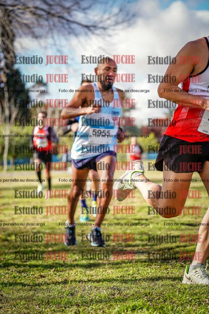 Fotos en el circuito