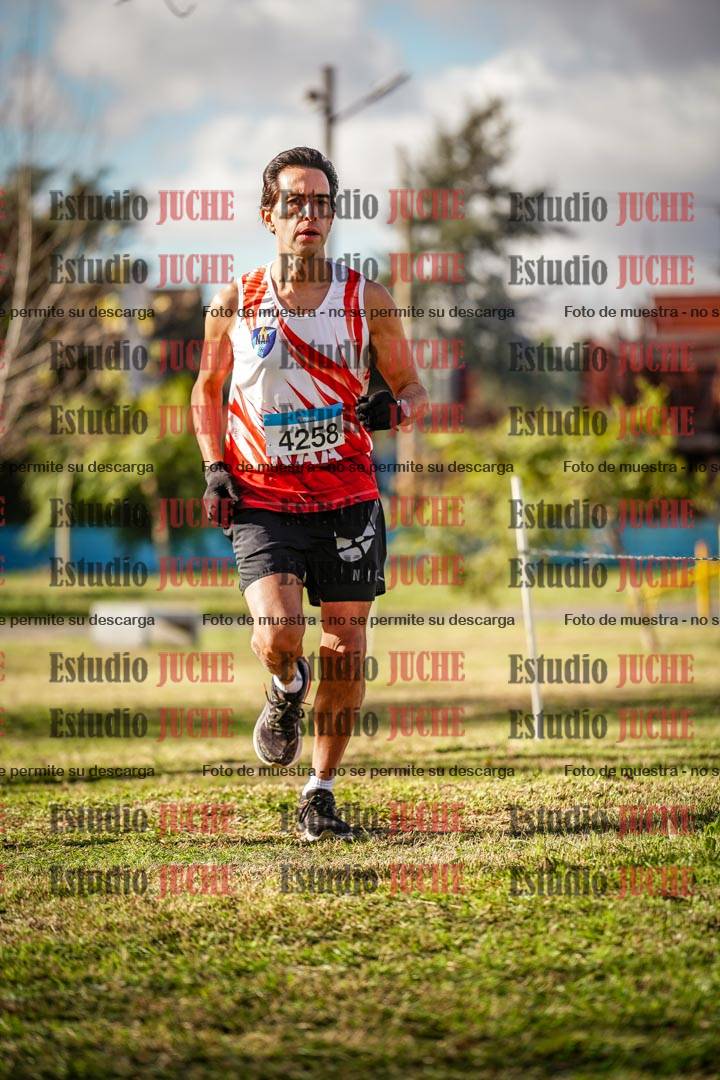 Fotos en el circuito