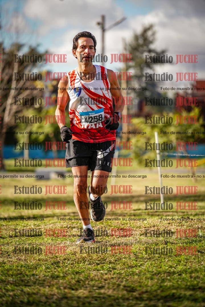 Fotos en el circuito