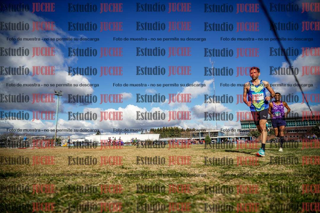 Fotos en el circuito