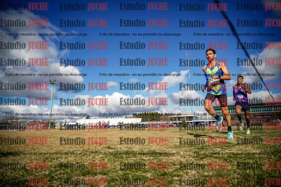 Fotos en el circuito