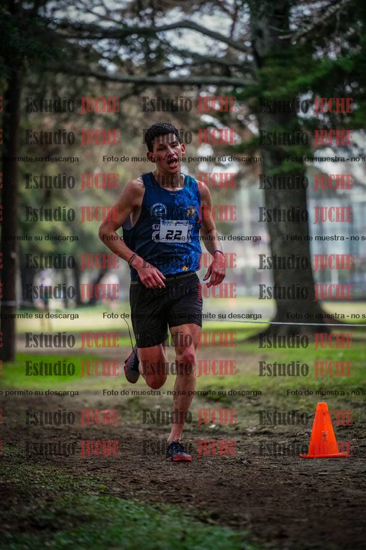 Fotos en el circuito