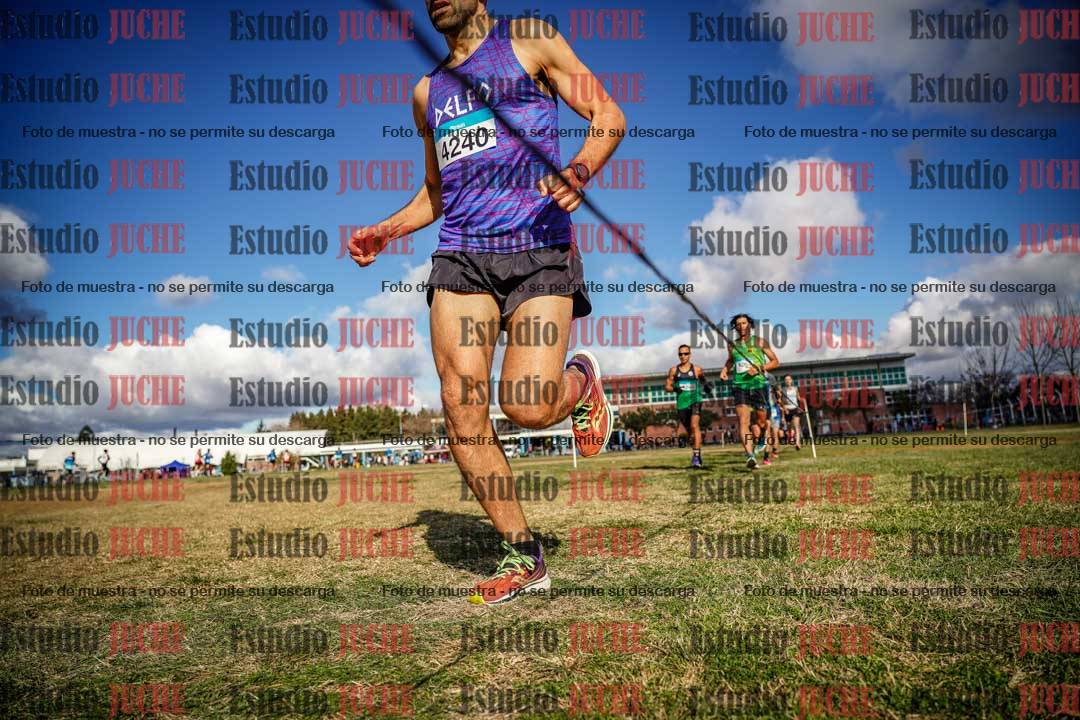 Fotos en el circuito