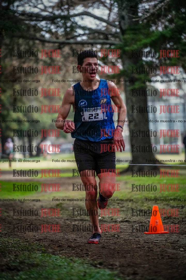 Fotos en el circuito