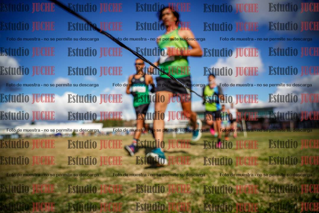 Fotos en el circuito