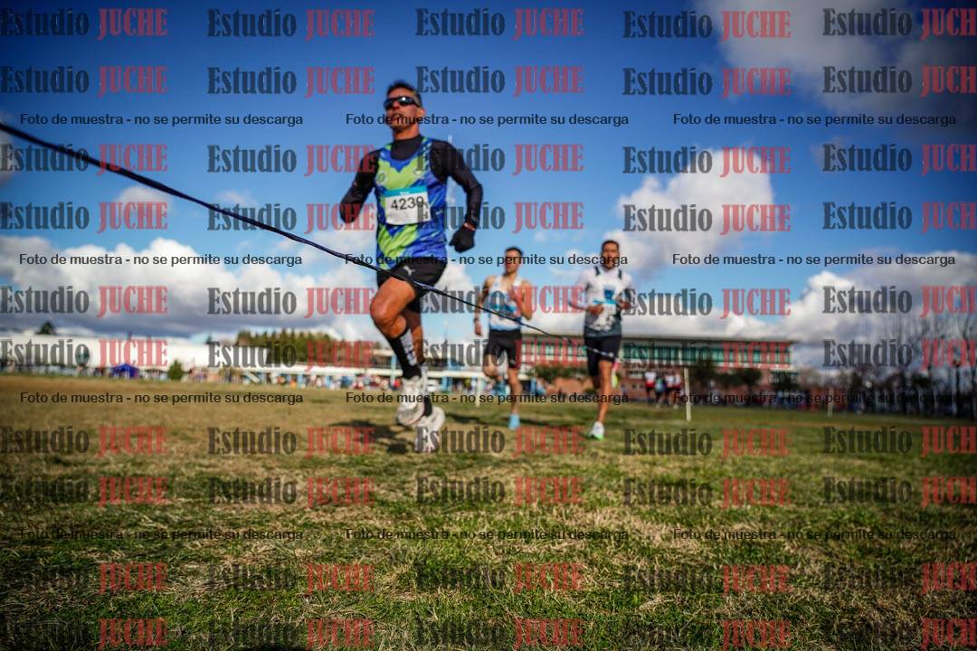 Fotos en el circuito