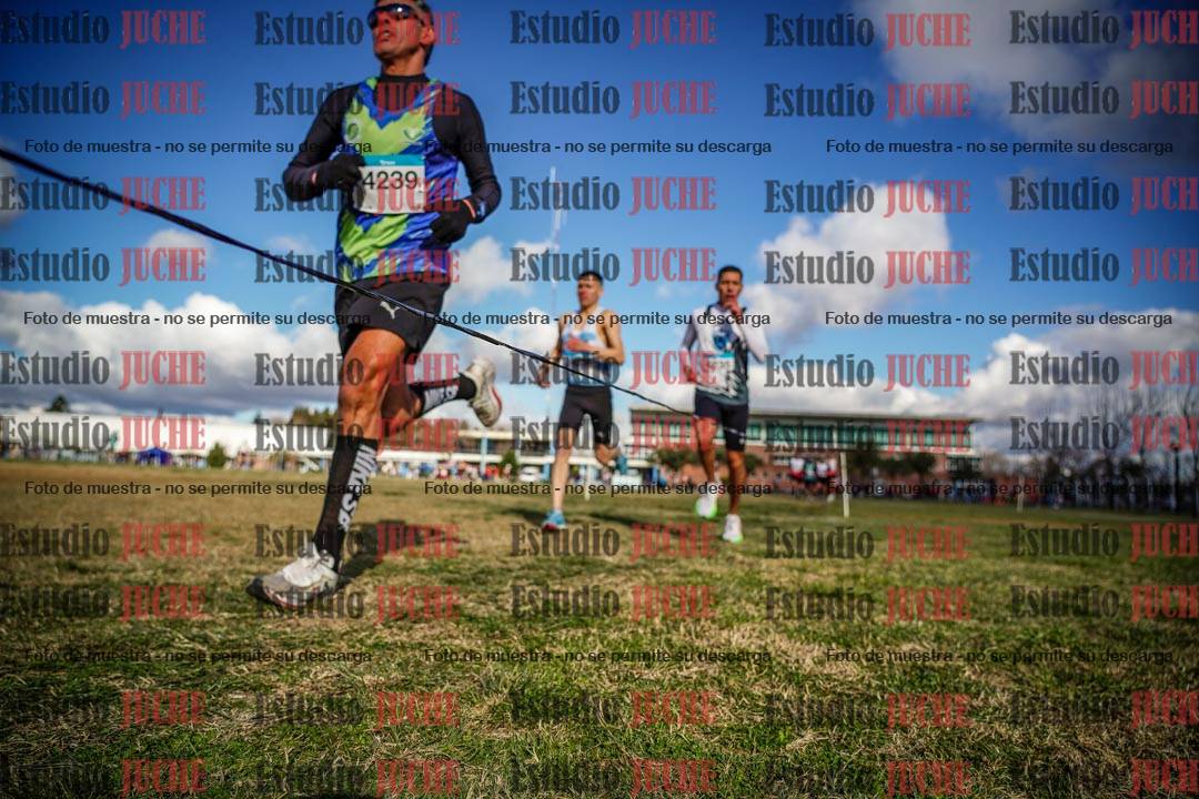 Fotos en el circuito